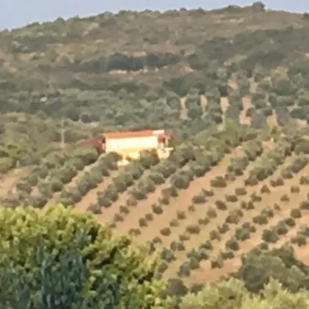 Casa Elia Villa Zizanio